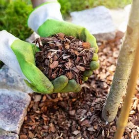 us-jointsvive Ingredients